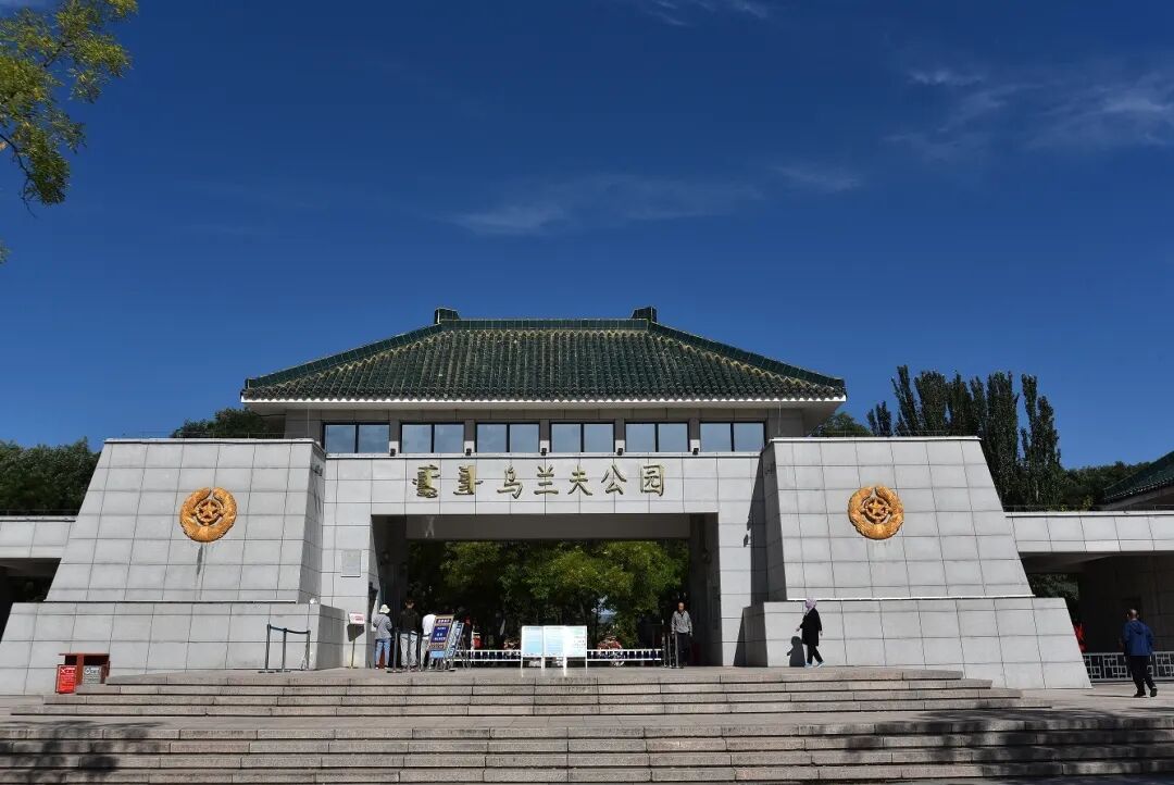 3d363056-c0ba-4cf0-a44d-428f40d58a7d.jpg