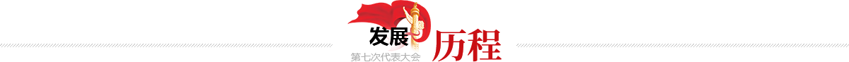 发展历程